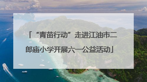 “青苗行动”走进江油市二郎庙小学开展六一公益活动