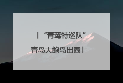 “青鸾特巡队”青岛大鲍岛出圈