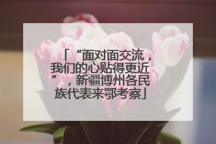 “面对面交流，我们的心贴得更近”，新疆博州各民族代表来鄂考察