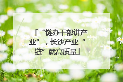 “链办干部讲产业”，长沙产业“链”就高质量