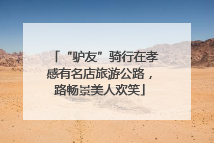 “驴友”骑行在孝感有名店旅游公路，路畅景美人欢笑