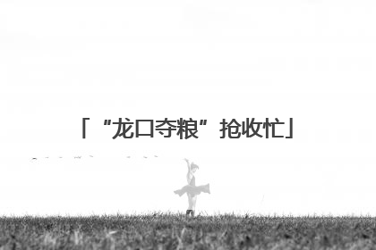 “龙口夺粮”抢收忙