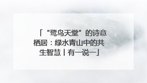 “鹭鸟天堂”的诗意栖居：绿水青山中的共生智慧丨有一说一