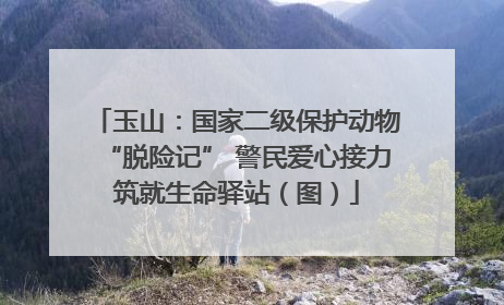 玉山：国家二级保护动物“脱险记” 警民爱心接力筑就生命驿站（图）