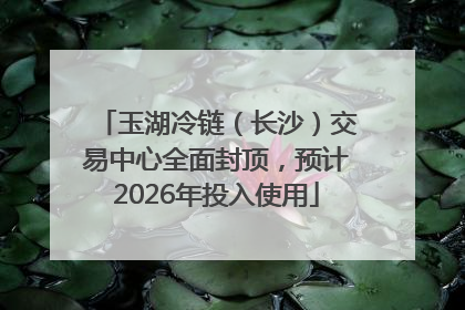 玉湖冷链（长沙）交易中心全面封顶，预计2026年投入使用