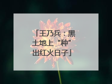 王乃兵：黑土地上“种”出红火日子