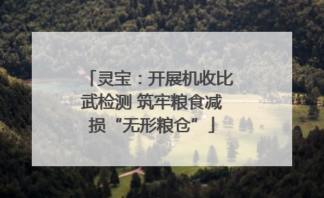 灵宝：开展机收比武检测 筑牢粮食减损“无形粮仓”
