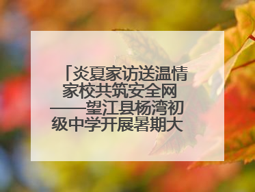 炎夏家访送温情 家校共筑安全网——望江县杨湾初级中学开展暑期大家访活动