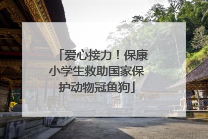 爱心接力！保康小学生救助国家保护动物冠鱼狗