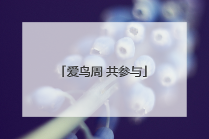 爱鸟周 共参与