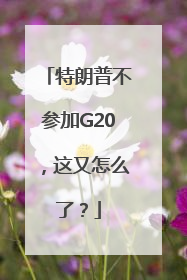 特朗普不参加G20，这又怎么了？