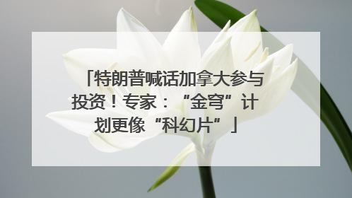 特朗普喊话加拿大参与投资！专家：“金穹”计划更像“科幻片”