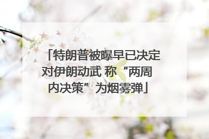 特朗普被曝早已决定对伊朗动武 称“两周内决策”为烟雾弹