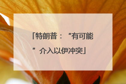 特朗普：“有可能”介入以伊冲突