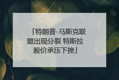 特朗普-马斯克联盟出现分裂 特斯拉股价承压下挫