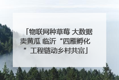 物联网种草莓 大数据卖黄瓜 临沂“四雁孵化”工程链动乡村共富