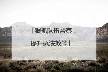 狠抓队伍督察，提升执法效能