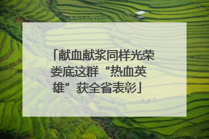 献血献浆同样光荣 娄底这群“热血英雄”获全省表彰