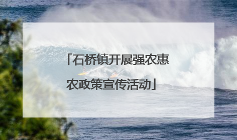 石桥镇开展强农惠农政策宣传活动