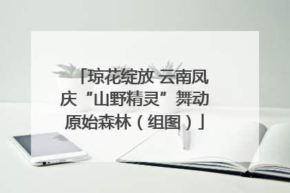 琼花绽放 云南凤庆“山野精灵”舞动原始森林（组图）