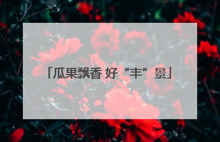 瓜果飘香 好“丰”景