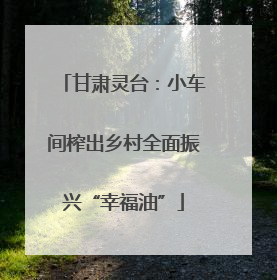 甘肃灵台：小车间榨出乡村全面振兴“幸福油”