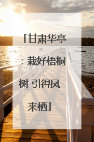 甘肃华亭：栽好梧桐树 引得凤来栖
