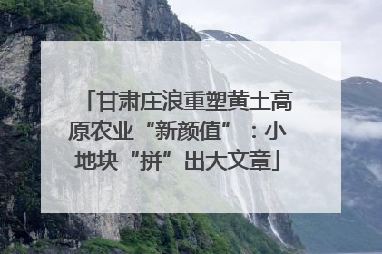 甘肃庄浪重塑黄土高原农业“新颜值”：小地块“拼”出大文章