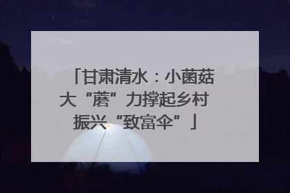 甘肃清水：小菌菇大“蘑”力撑起乡村振兴“致富伞”