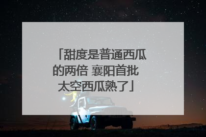 甜度是普通西瓜的两倍 襄阳首批太空西瓜熟了