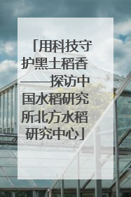 用科技守护黑土稻香——探访中国水稻研究所北方水稻研究中心