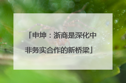 申坤：浙商是深化中非务实合作的新桥梁