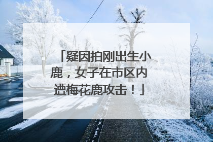 疑因拍刚出生小鹿，女子在市区内遭梅花鹿攻击！
