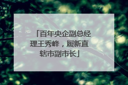 百年央企副总经理王秀峰，履新直辖市副市长