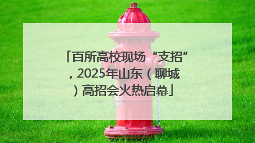 百所高校现场“支招”，2025年山东（聊城）高招会火热启幕