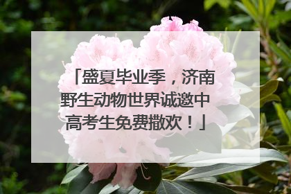 盛夏毕业季，济南野生动物世界诚邀中高考生免费撒欢！