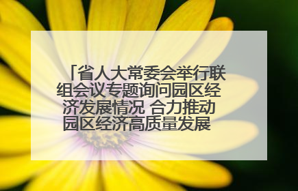 省人大常委会举行联组会议专题询问园区经济发展情况 合力推动园区经济高质量发展 王宁主持会议并讲话 王予波带队到会应询