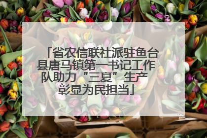 省农信联社派驻鱼台县唐马镇第一书记工作队助力“三夏”生产 彰显为民担当