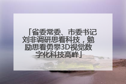 省委常委、市委书记刘非调研思看科技，勉励思看勇攀3D视觉数字化科技高峰