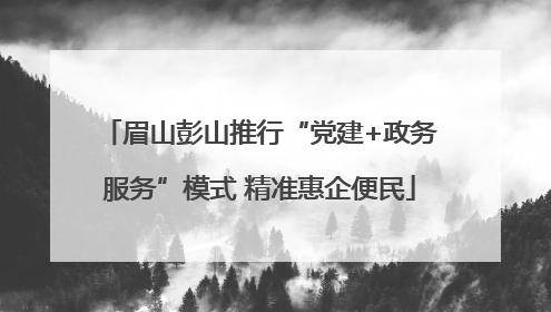 眉山彭山推行“党建+政务服务”模式 精准惠企便民
