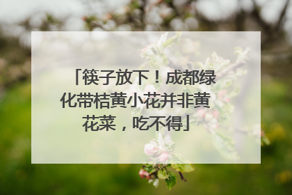 筷子放下！成都绿化带桔黄小花并非黄花菜，吃不得
