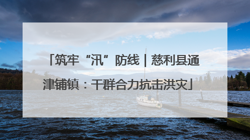 筑牢“汛”防线｜慈利县通津铺镇：干群合力抗击洪灾