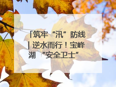 筑牢“汛”防线｜逆水而行！宝峰湖 “安全卫士” 出鞘 防汛应急再添硬核力量