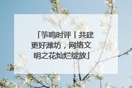 筝鸣时评丨共建更好潍坊，网络文明之花灿烂绽放