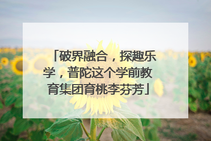 破界融合，探趣乐学，普陀这个学前教育集团育桃李芬芳