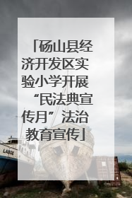 砀山县经济开发区实验小学开展“民法典宣传月”法治教育宣传