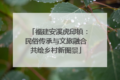 福建安溪虎邱镇：民俗传承与文旅融合共绘乡村新图景