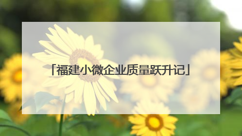 福建小微企业质量跃升记