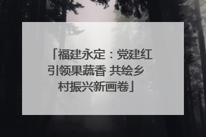 福建永定：党建红引领果蔬香 共绘乡村振兴新画卷