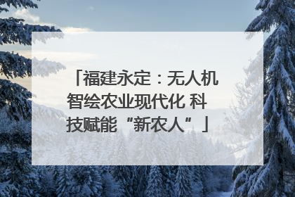 福建永定：无人机智绘农业现代化 科技赋能“新农人”